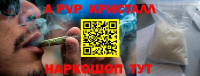 стаф Будённовск